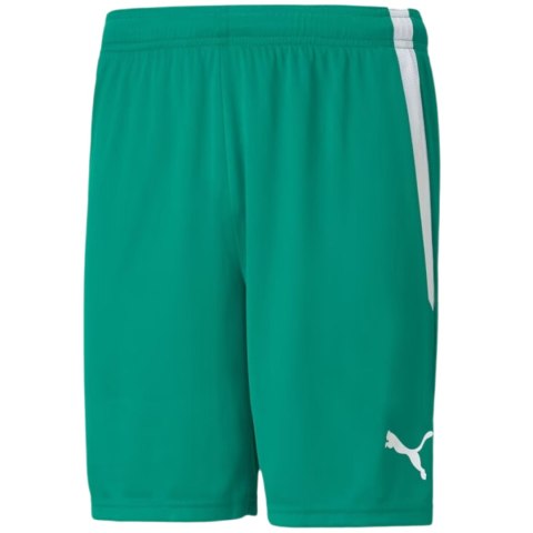 Spodenki męskie Puma teamLIGA zielone 704924 05 Puma Spodenki męskie Puma teamLIGA zielone 704924 05 Puma
